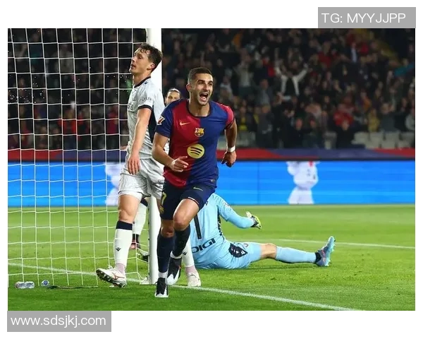 费兰托雷斯:从青涩小将到世界足球舞台的璀璨明星之路 费兰托雷斯:从青涩小将到世界足球舞台的璀璨明星之路