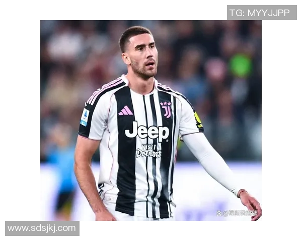 弗拉霍维奇：从新星崛起到足坛巨星的华丽转身与未来展望