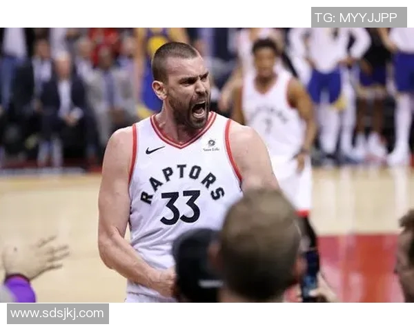 猛龙队的进攻火力不容小觑——季后赛的黑马力量 猛龙队的进攻火力不容小觑——季后赛的黑马力量