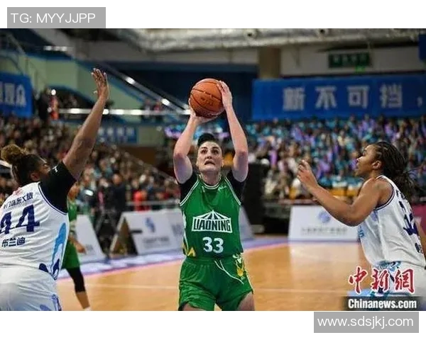 辽宁对广厦精彩比赛录像回放全程回顾与分析