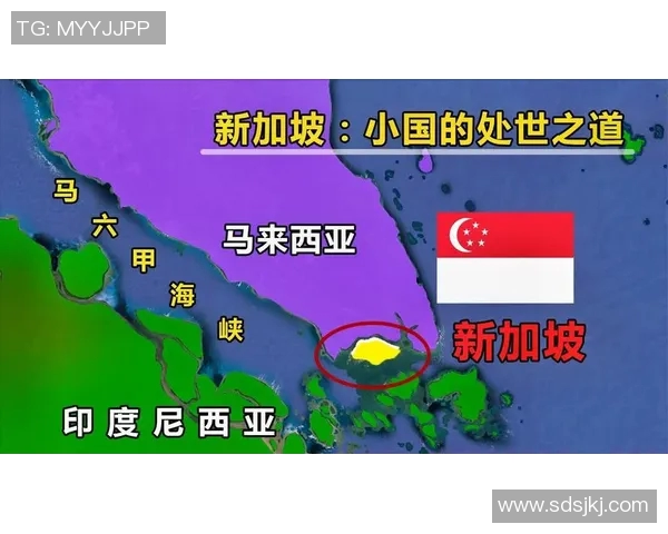 马来西亚对阵新加坡精彩直播全程回顾与赛后分析